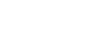 pylon protocol